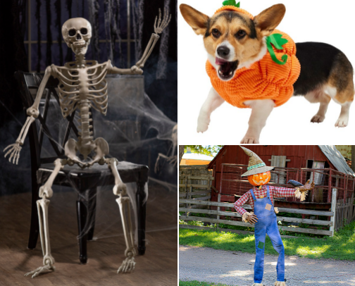 The Best Halloween Decor and Supplies cover photo collage