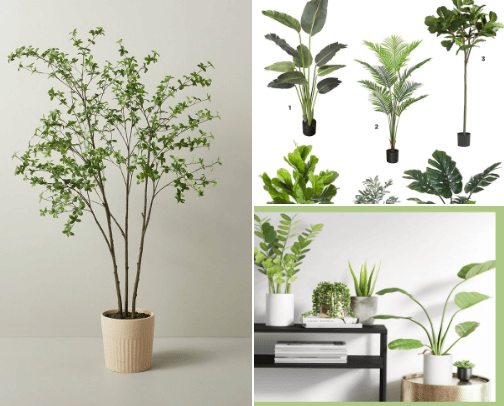 Affordable Faux Plants and Greens cover photo collage
