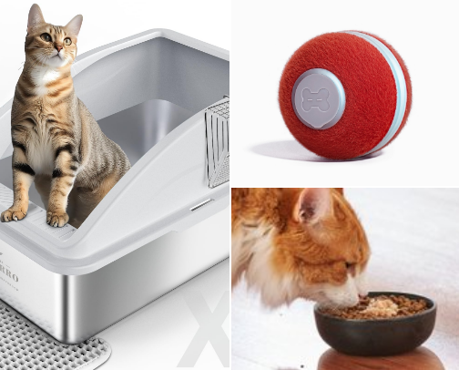 Cat Care Kit 😻 cover photo collage
