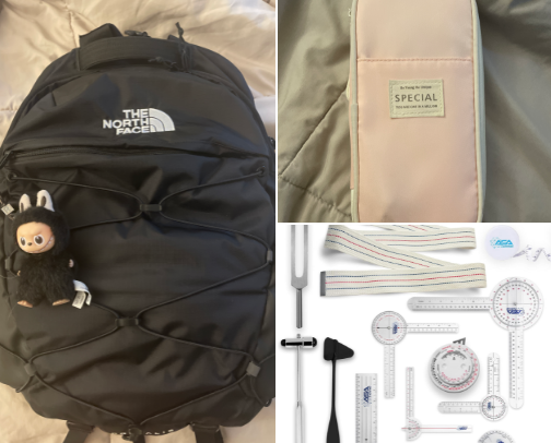 Physical Therapy School Essentials cover photo collage