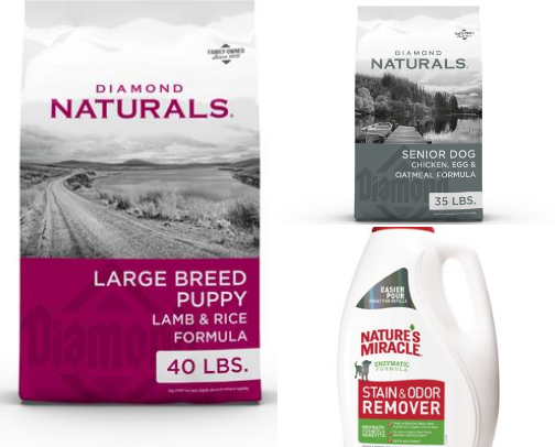 Man's Best Friend 🐶 cover photo collage