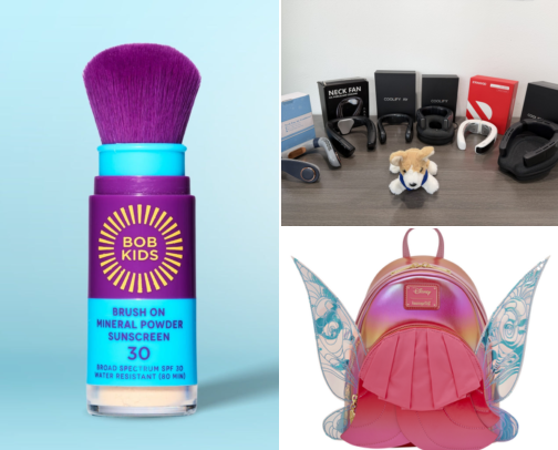 How We Survived Disney cover photo collage