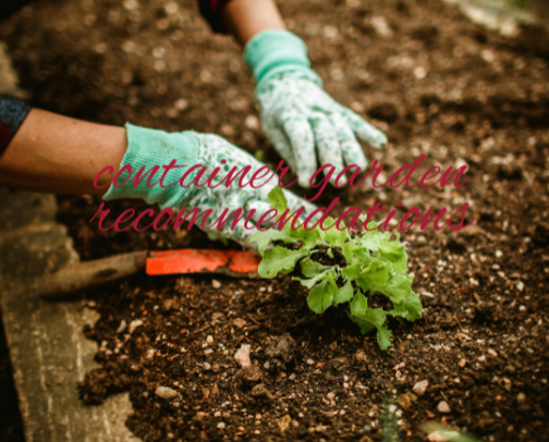 My Container Garden Recommendations cover photo collage