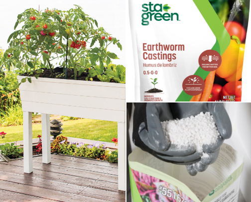 My Container Garden Recommendations cover photo collage