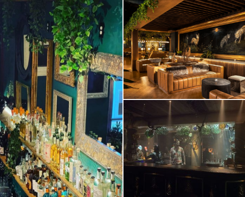 Unlocking Elevated Eats & Elixirs: cover photo collage