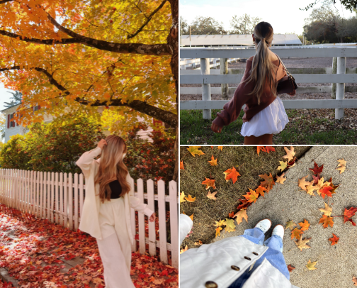 Fall Fashion Favorites You’ll Love! cover photo collage