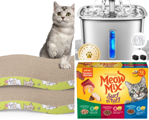 New kitten must haves! cover photo collage