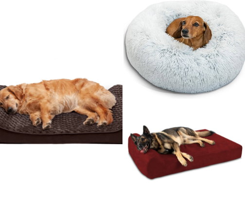 Essential Pet Gear: Beds, Toys, and Bowls for Cats and Dogs cover photo collage