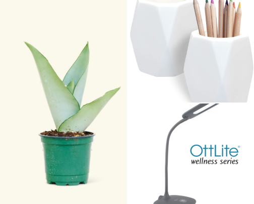 Desk Decor That Makes Productivity Bloom cover photo collage