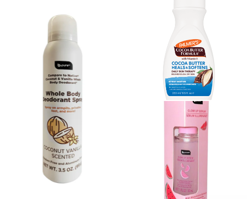 Dupes & Deals—Dollar Tree Steals 💵🌳 cover photo collage