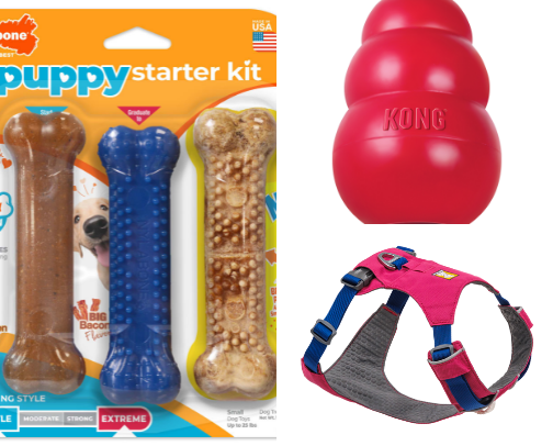 Recommendations for a hyper dog. cover photo collage