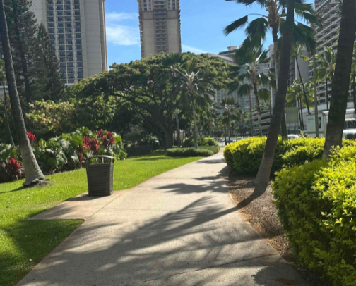My 20 Waikīkī Essentials: What I Actually Use, Pack & Recommend cover photo collage