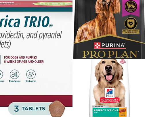 Ultimate Dog Parent Guide 💼🐶 cover photo collage