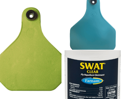 Fly Control: Barn, Horse, Human cover photo collage