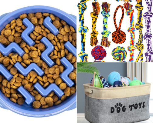 Man's Best Friend! (PETS) cover photo collage