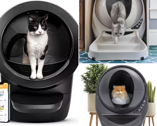 Best Buy! Vet-approved CAT FUR PARENTS ULTIMATE WISHLIST🐱 cover photo collage
