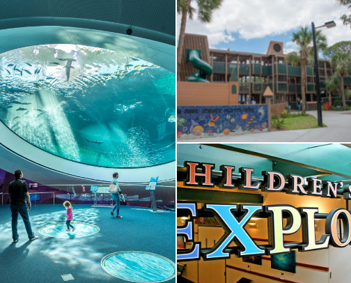 Best Family-Friendly Things to Do in South Florida cover photo collage