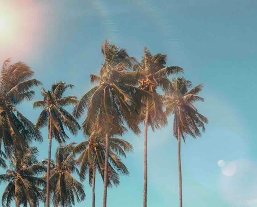 🛍️ALL YOU NEED FOR BEACH AND VACATION cover photo collage