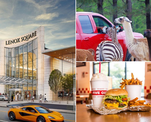 Things To Do in Georgia !!! cover photo collage