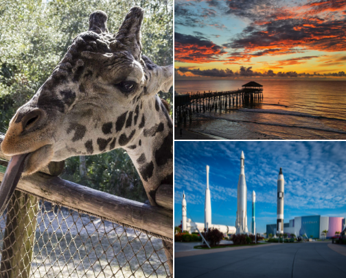 Things to do on the space coast Florida cover photo collage