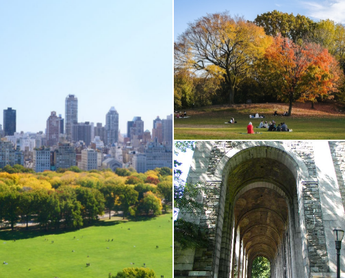 My new list cover photo collage