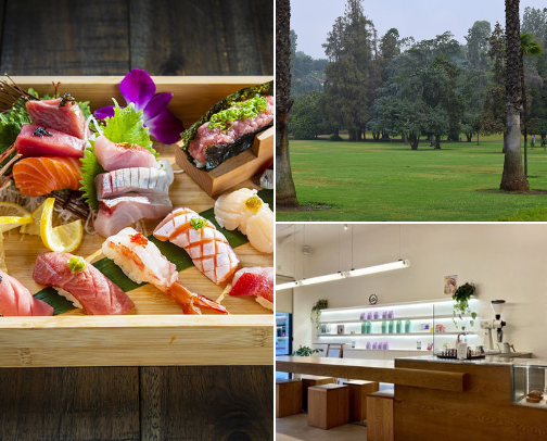 My top Alhambra recs cover photo collage