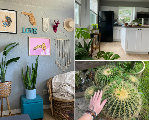 A List of the Absolute Must-Haves: Houseplant Edition 🪴🌵🌱🌳 cover photo collage