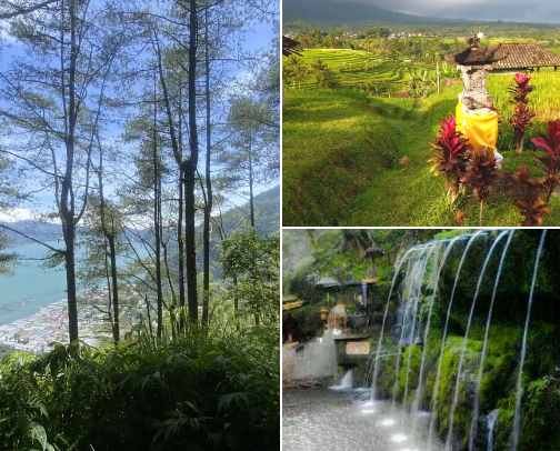 🌿 Bali Wellness Guide: Eco-Retreats & Mindful Tech cover photo collage