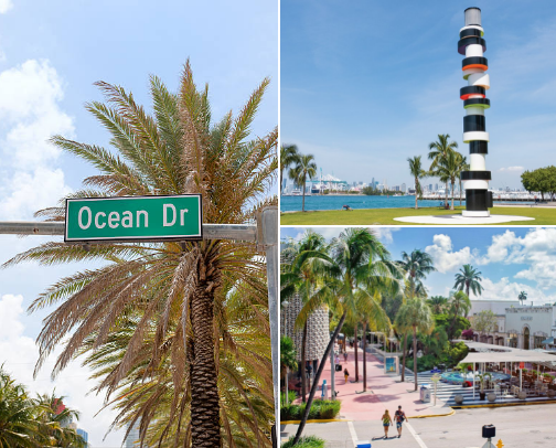 Free Things to Do in South Florida cover photo collage