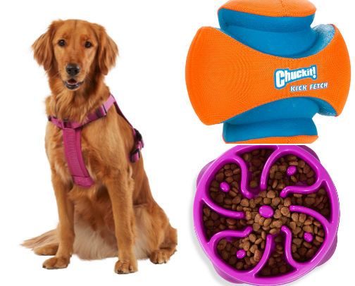 Pet Supplies Approved by My Australian Shepherd 🐾 cover photo collage