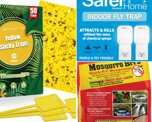 Pest Management for Houseplants cover photo collage