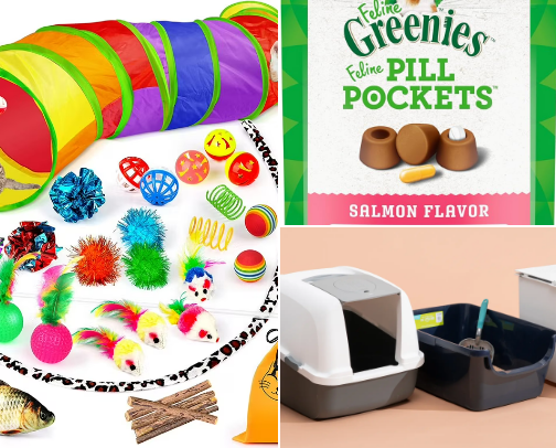 Items every cat household needs cover photo collage