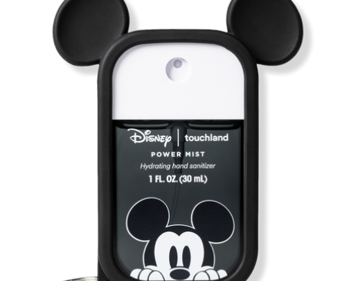 Disney Park Bag Essentials cover photo collage