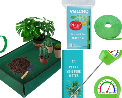 Let’s Grow: The Plant Lovers List 🪴 cover photo collage