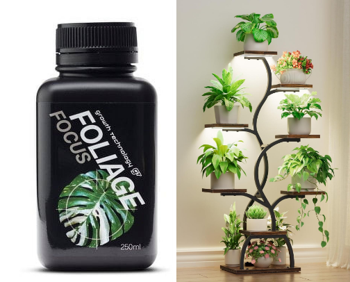 Let’s Grow: The Plant Lovers List 🪴 cover photo collage