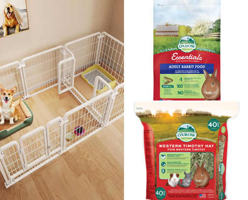 Must-have bunny supplies 🐰 cover photo collage