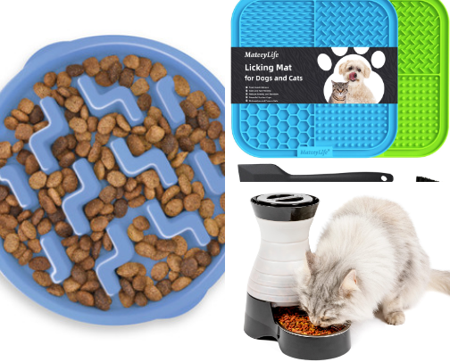 Must-Have Dog Essentials for Every Dog Owner cover photo collage