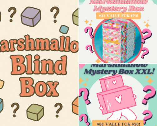 Blind or Mystery Boxes for Family Fun Night cover photo collage