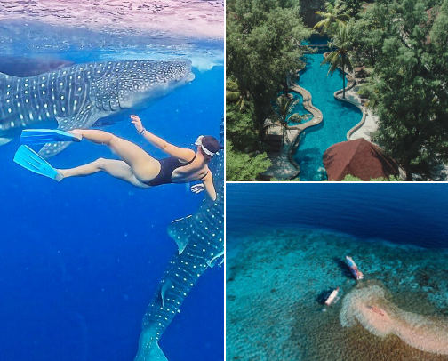 Indonesia place to go - West Nusa Tenggara cover photo collage