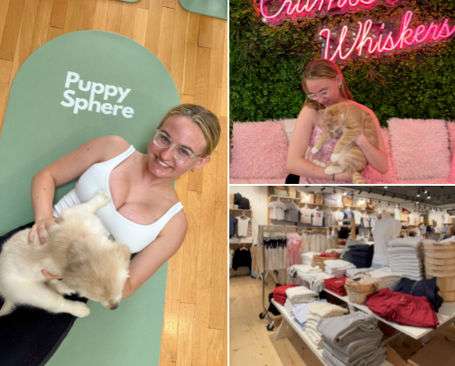 when you’re bored in the DMV area… cover photo collage