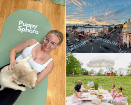 when you’re bored in the DMV area… cover photo collage