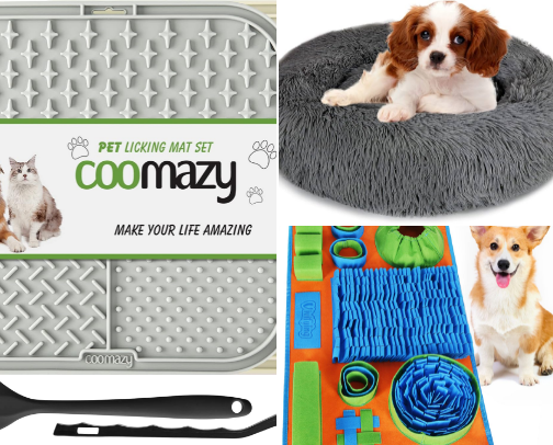 🐶 Calm & Comfort Essentials for Anxious Dogs cover photo collage