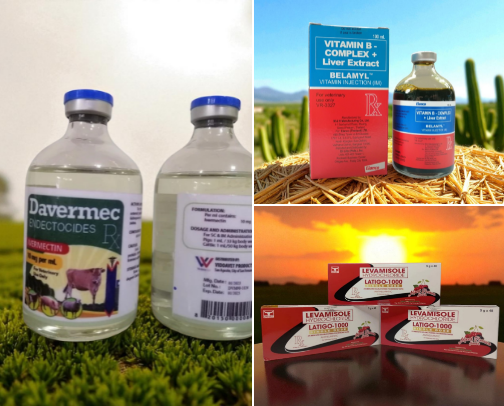 Keep Your Pigs Healthy: A Guide to Essential Farm Supplies cover photo collage