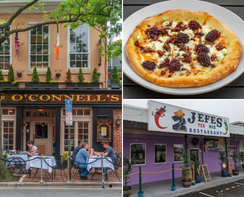 My top Alexandria recs cover photo collage