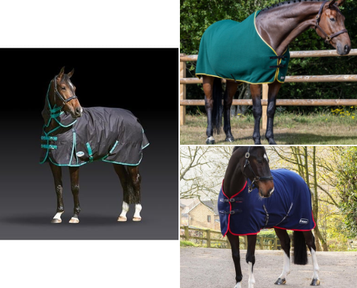 Horse essentials cover photo collage