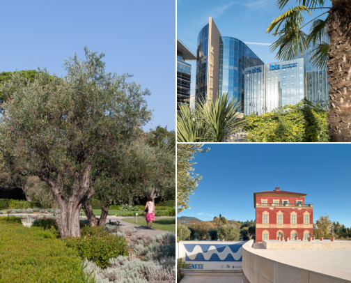 Hotels that could make the trip even nicer, Art, Easy Walks, Sea Views & Lovely Places to Stay Nice, France cover photo collage