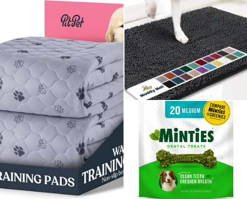 Dog-Mom Must Haves cover photo collage
