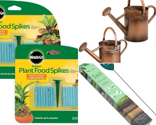 Indoor Houseplant Care Essentials: Top Amazon Picks for Central Florida Plant Parents cover photo collage