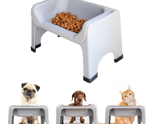 Dog products that are worth it cover photo collage