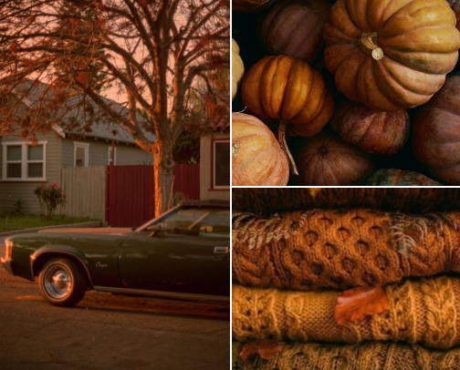 Midwest Fall Must Haves 🎃🧡🍂🍁 cover photo collage